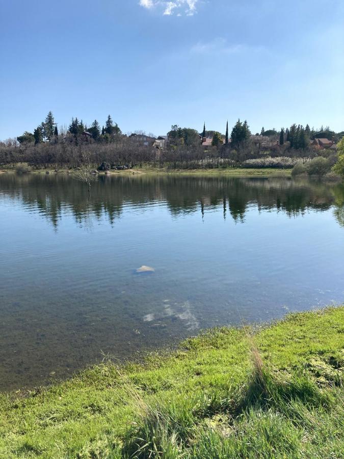 Los Cedros, Gran Chalet Con Piscina Y Apartamento En Navacerrada Villa Esterno foto