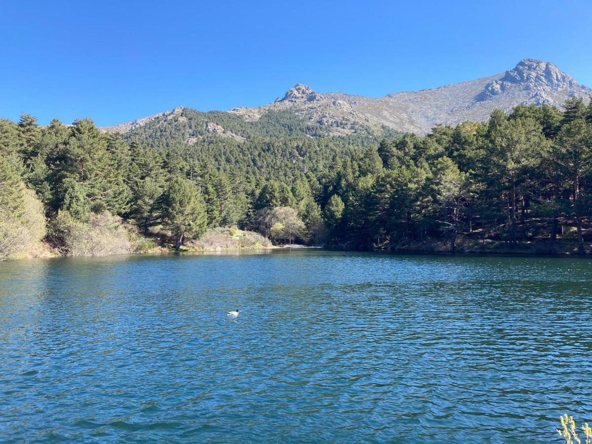 Los Cedros, Gran Chalet Con Piscina Y Apartamento En Navacerrada Villa Esterno foto