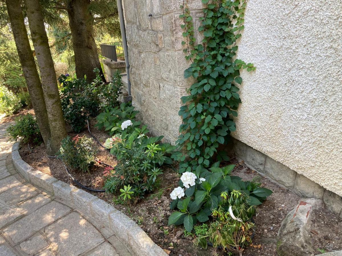 Los Cedros, Gran Chalet Con Piscina Y Apartamento En Navacerrada Villa Esterno foto